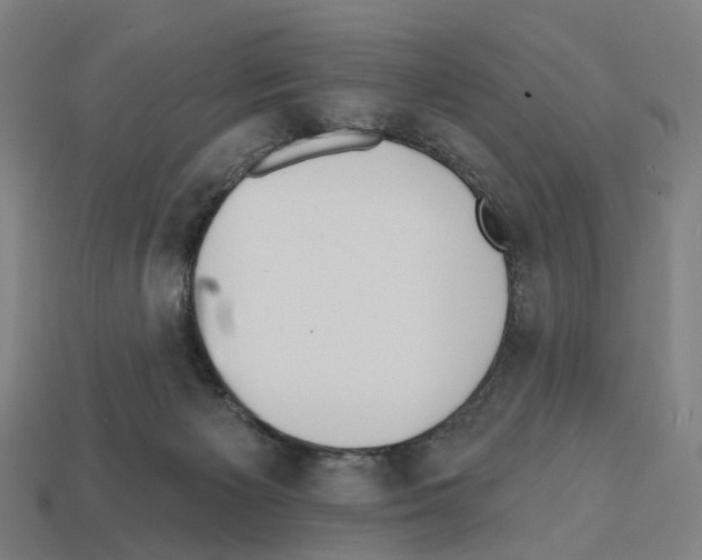 X0000112540125200909281107