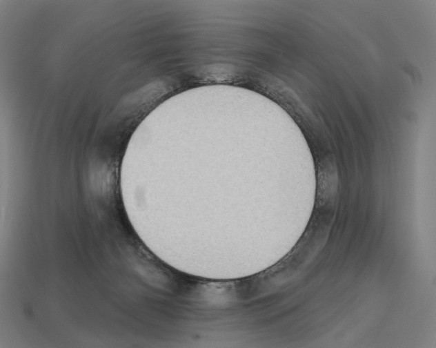 X0000112540126200909281107