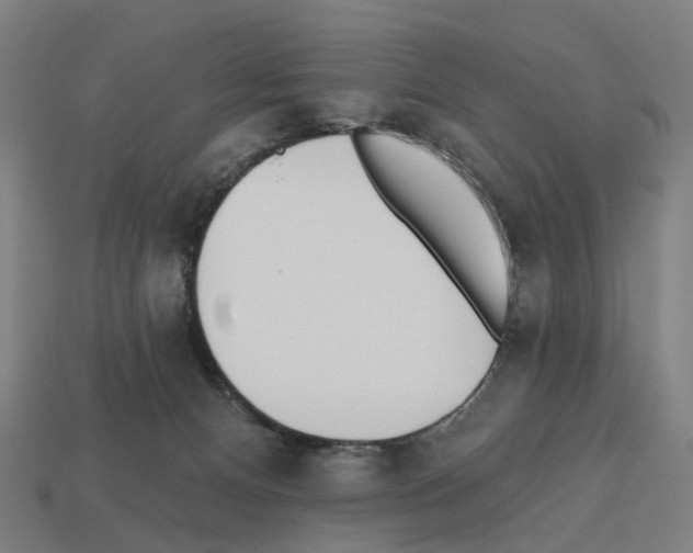 X0000112540128200909281107