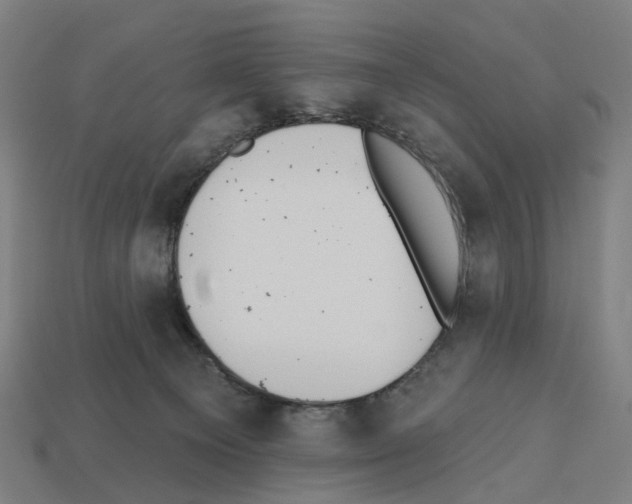 X0000112540129200909281107