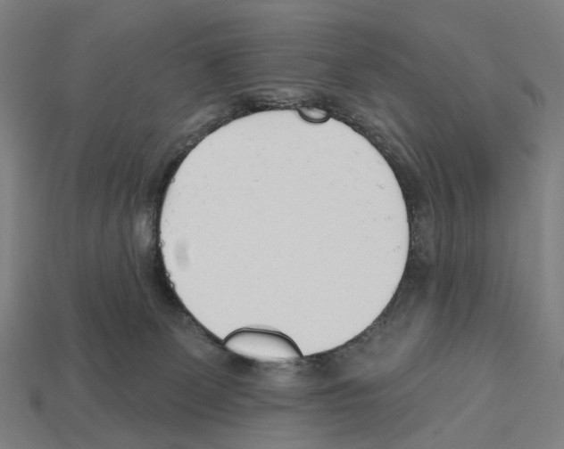 X0000112540131200909281107