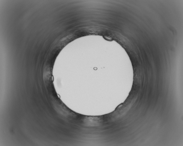 X0000112540137200909281107