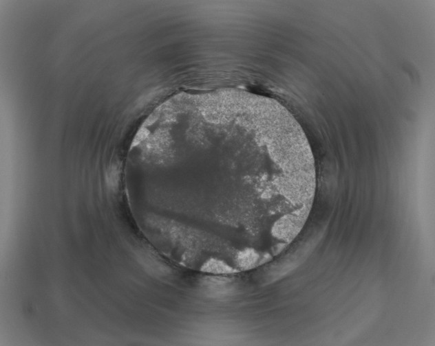 X0000112540139200909281107