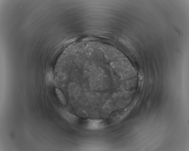 X0000112540143200909281107