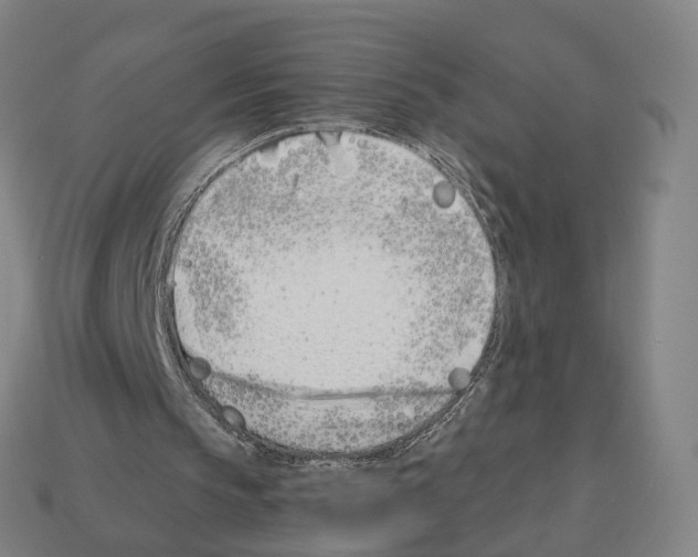 X0000112540145200909281106