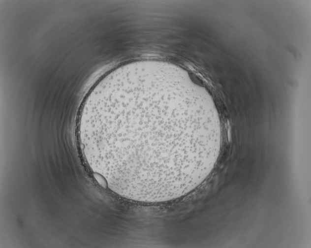 X0000112540147200909281106
