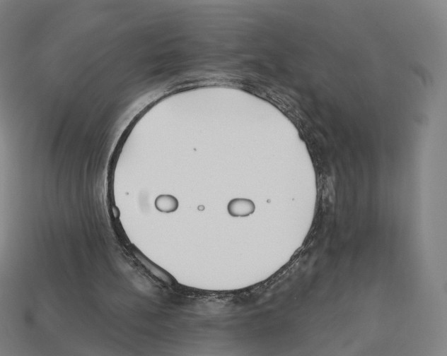 X0000112540148200909281106