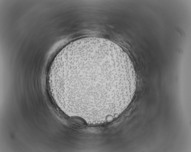 X0000112540149200909281106