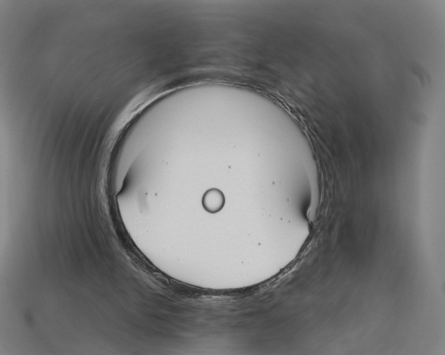 X0000112540150200909281106