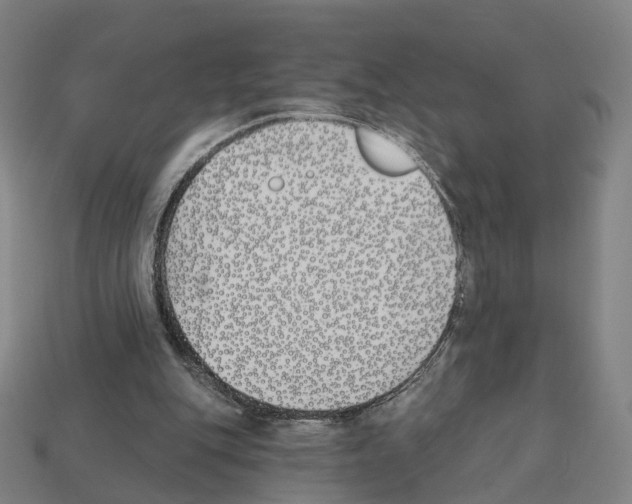 X0000112540151200909281106