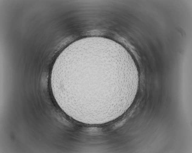 X0000112540153200909281106