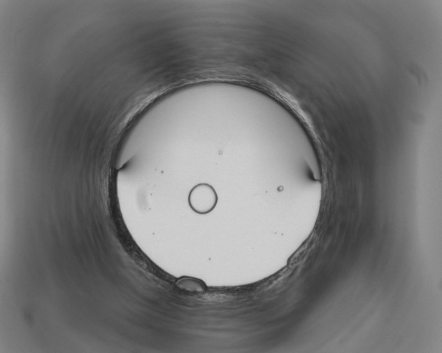 X0000112540154200909281106