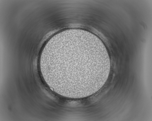 X0000112540155200909281106