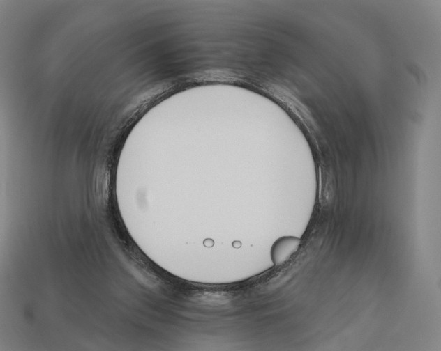 X0000112540157200909281106