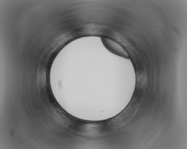 X0000112540158200909281106