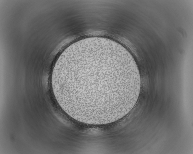 X0000112540159200909281106