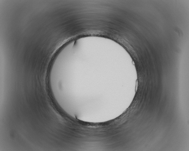 X0000112540160200909281106