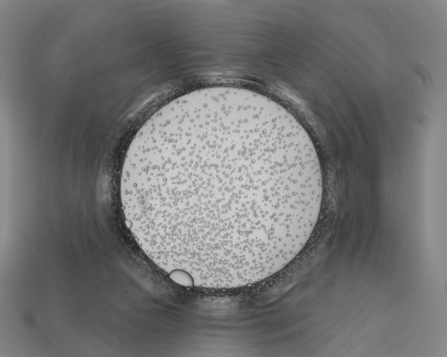 X0000112540161200909281106