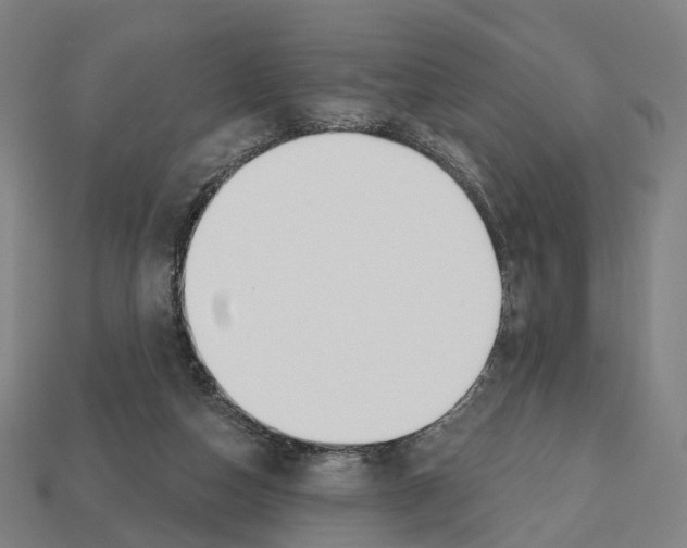X0000112540162200909281106