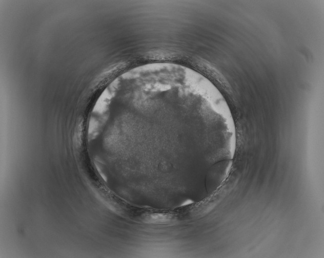 X0000112540163200909281106