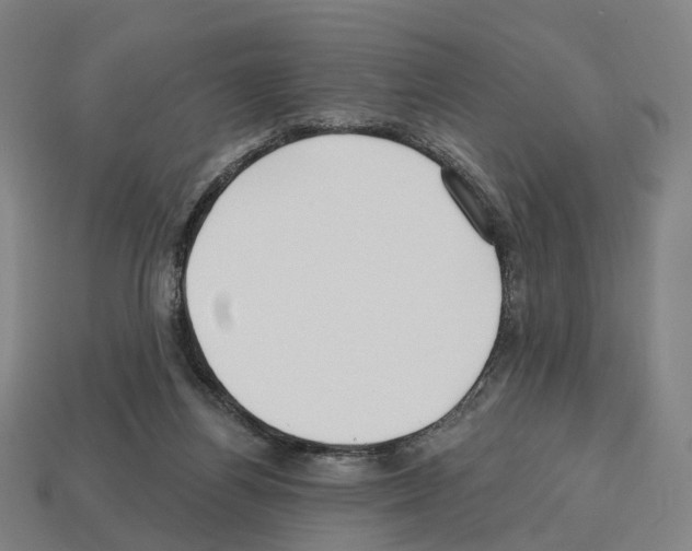 X0000112540164200909281106
