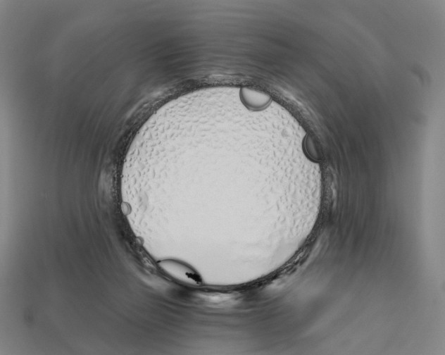 X0000112540165200909281106