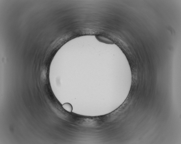 X0000112540166200909281106