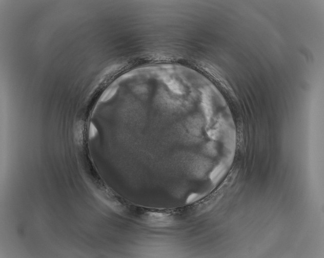 X0000112540167200909281106