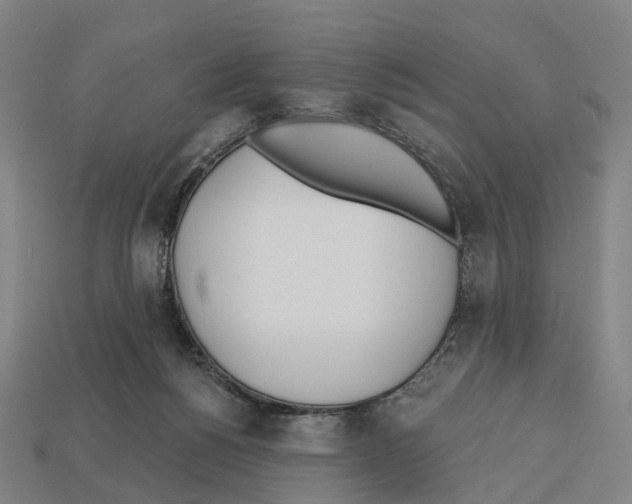 X0000112540168200909281106