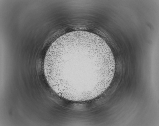 X0000112540169200909281106