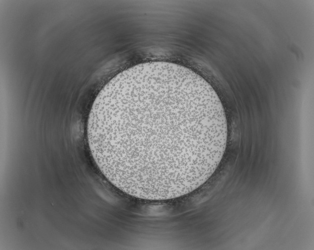 X0000112540173200909281107