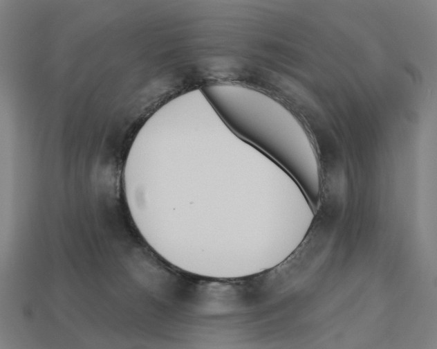 X0000112540180200909281107