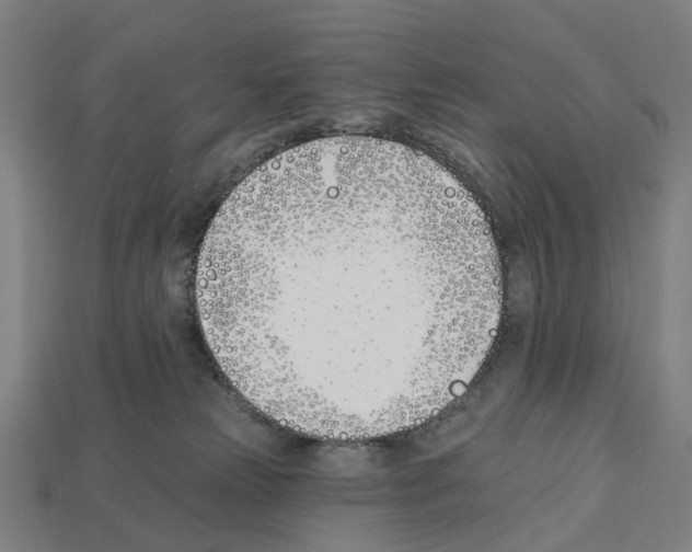 X0000112540181200909281107