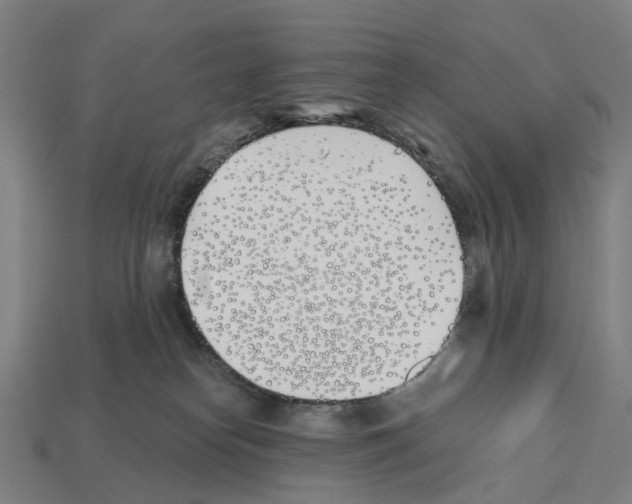 X0000112540182200909281107