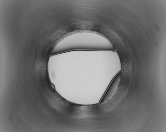 X0000112540184200909281107