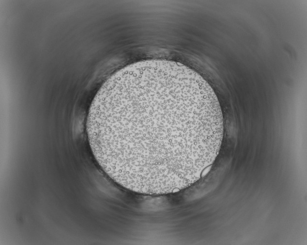 X0000112540185200909281107