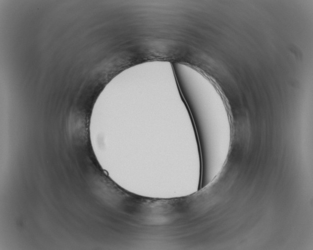 X0000112540186200909281107