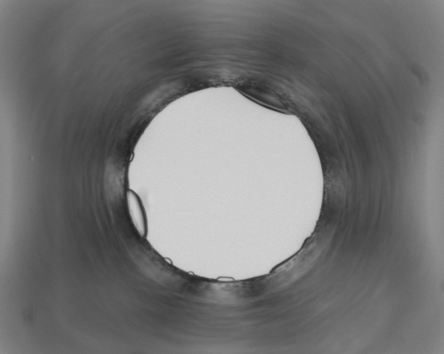 X0000112540188200909281107