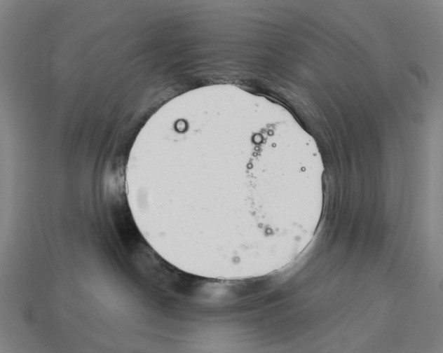 X0000112540190200909281107