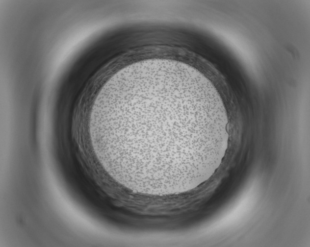 X0000112540191200909281107