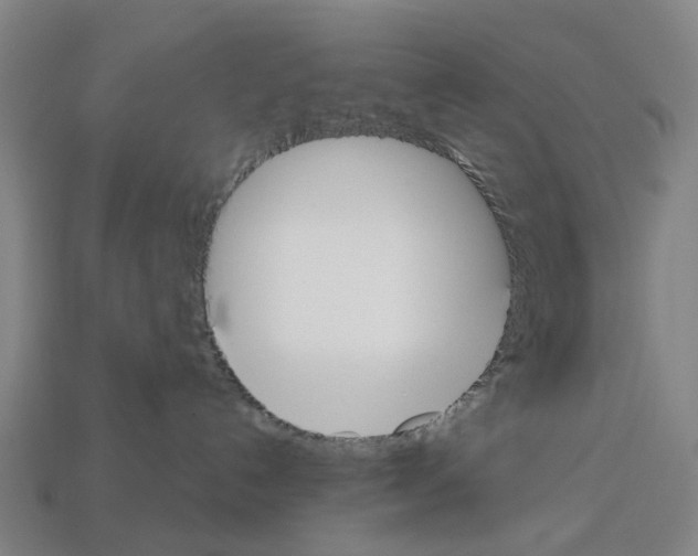 X0000112540192200909281107