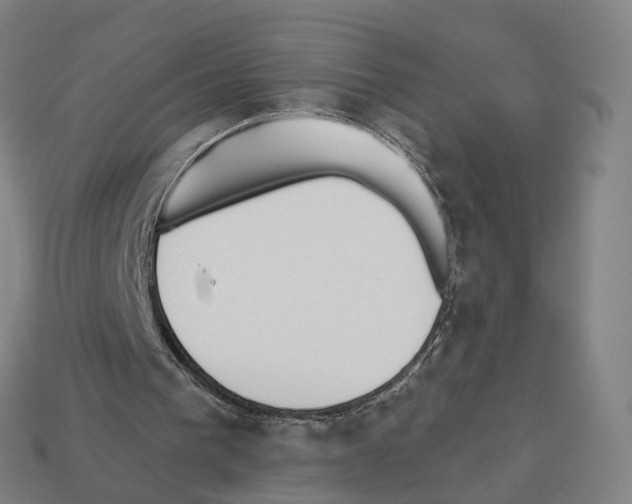 X0000112540193200909281106
