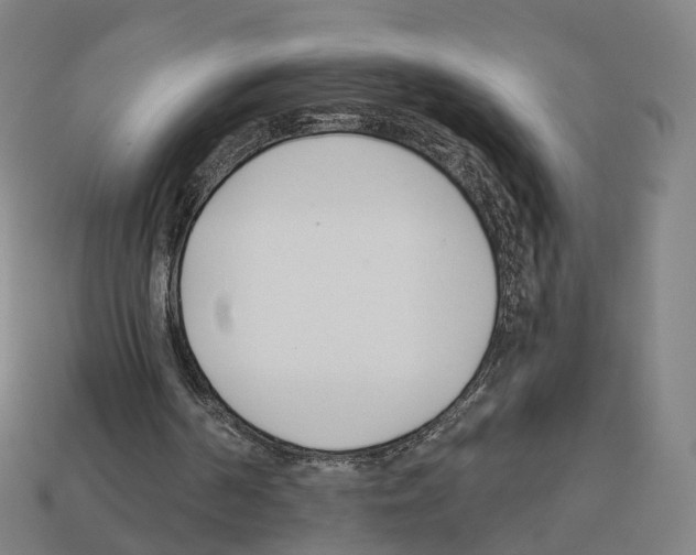 X0000112540194200909281106