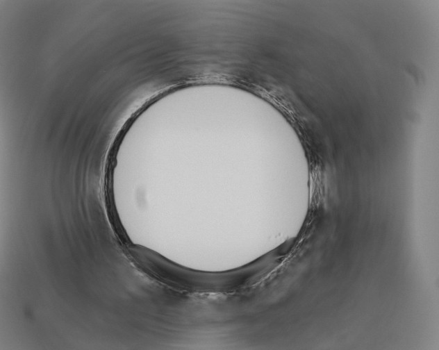 X0000112540195200909281106