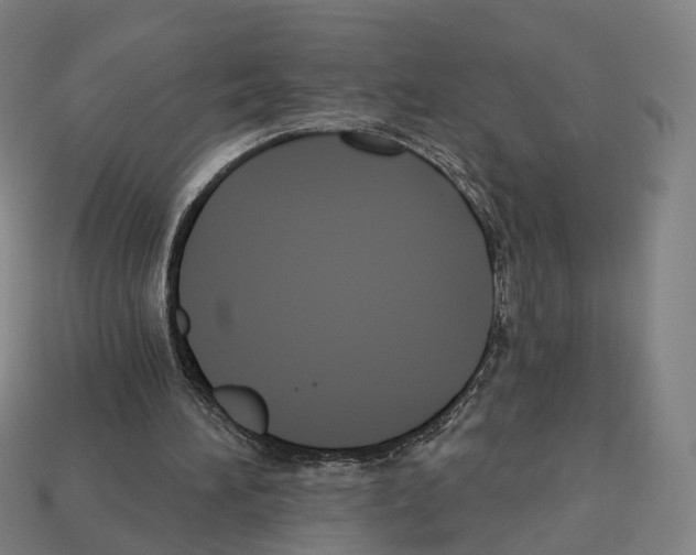 X0000112540196200909281106