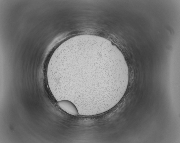 X0000112540198200909281106