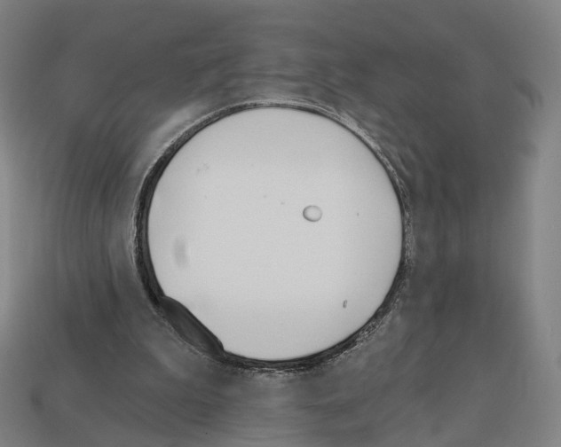 X0000112540199200909281106