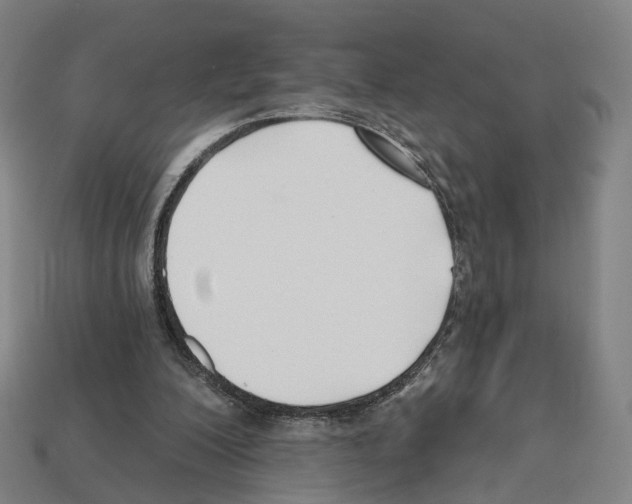 X0000112540200200909281106