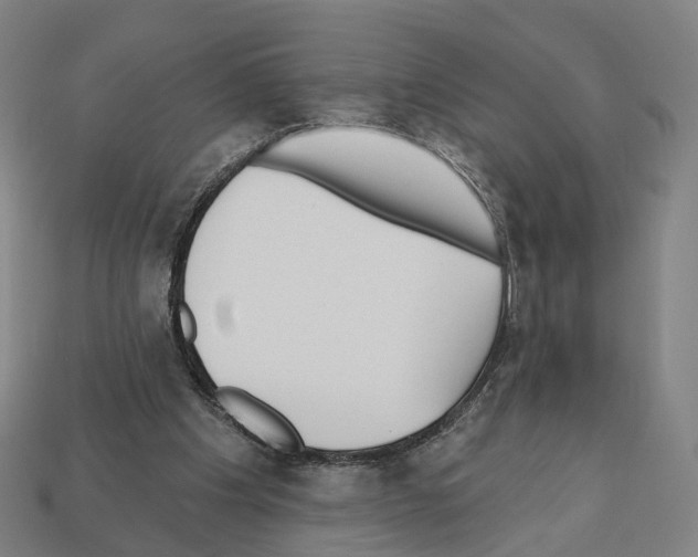 X0000112540201200909281106