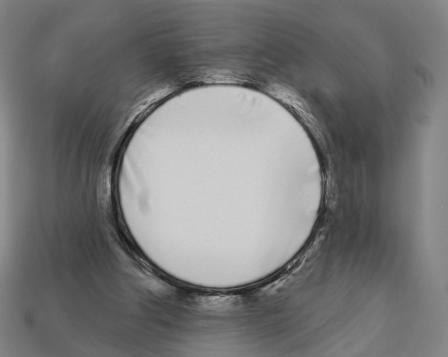 X0000112540202200909281106